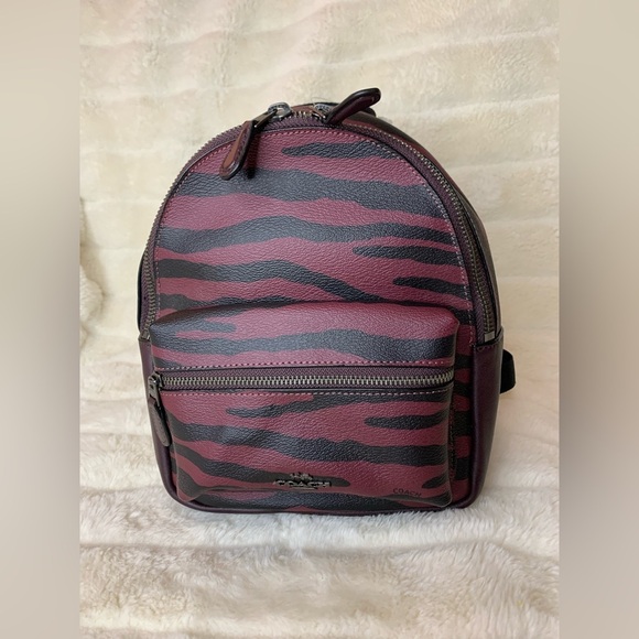Coach Men's Black and Brown Backpack - Picture 1 of 9